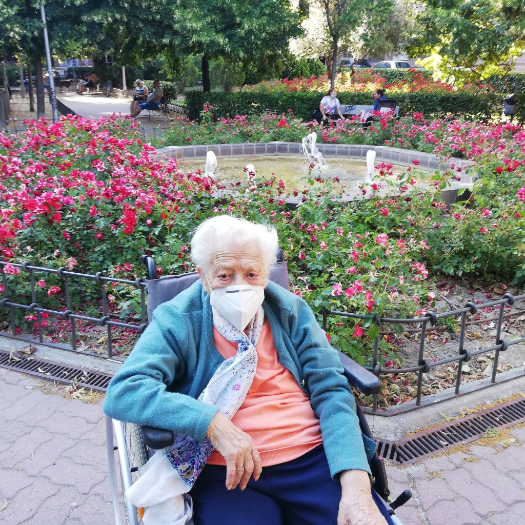 LA SENDA DE LOS&nbsp;ELEFANTES